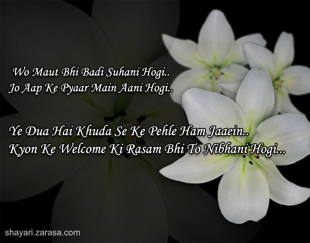 Shayari for Welcome l “क्यों के वेलकम की रस्म भी तो निभानी होगी…”