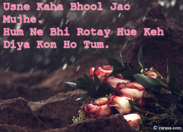 Shayari for Bewafai”Usne Kaha Bhool Jao Mujhe”