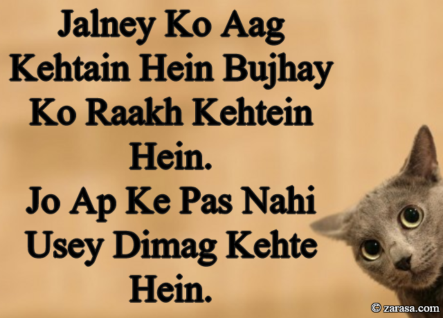 Funny Shayari”Jalney Ko Aag Kehtain Hein”