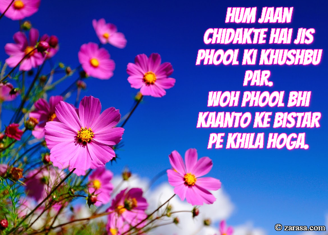 Phool SHAYARI “Woh Phool Bhi Kaanto Ke Bistar Pe Khila Hoga”