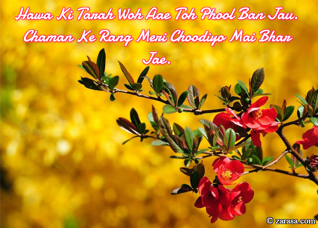 Phool SHAYARI “Chaman Ke Rang Meri Choodiyo Mai Bhar Jae”