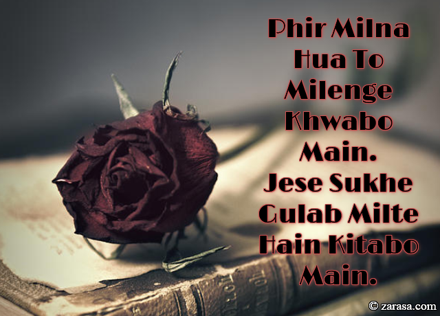 Phool SHAYARI “Jese Sukhe Gulab Milte Hain Kitabo Main”