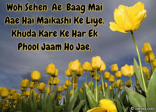 Phool SHAYARI “Khuda Kare Ke Har Ek Phool Jaam Ho Jae”