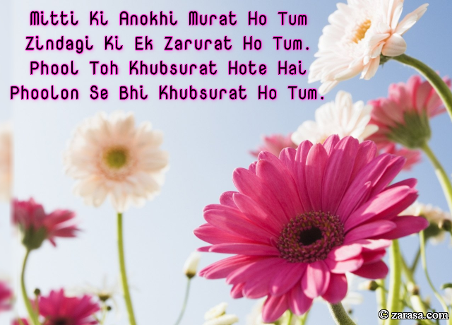 Phool SHAYARI “Phool Toh Khubsurat Hote Hai”