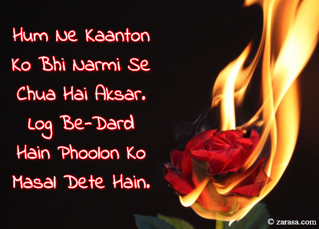 Phool SHAYARI “Log Be-Dard Hain Phoolon Ko Masal Dete Hain”