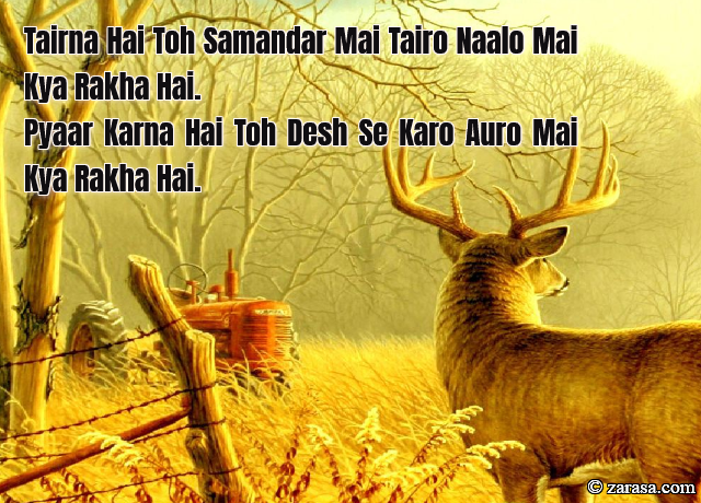 Shayari for Country”Pyaar Karna Hai Toh Desh Se Karo”