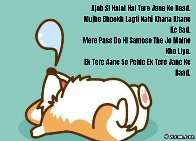 Funny Shayari “Ek Tere Aane Se Pehle Ek Tere Jane Ke Baad”