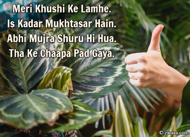 Funny Shayari “Meri Khushi Ke Lamhe”