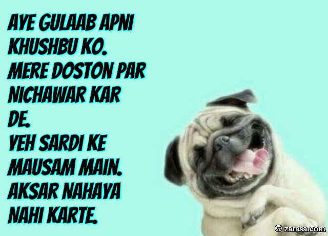 Funny Shayari “Aksar Nahaya Nahi Karte”