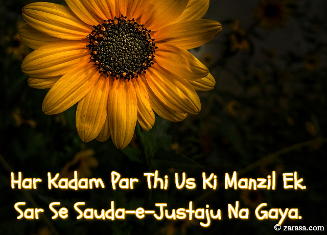 Talaash Shayari “Sar Se Sauda-e-Justaju Na Gaya”