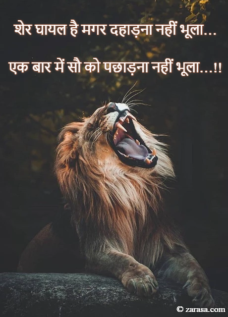 Attitude Shayari “शेर घायल है मगर दहाड़ना नहीं भूला…”