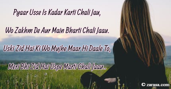 Zid Shayari “Usaki Zid Hai Ki Wo Mujhe Maar Hi Daale”