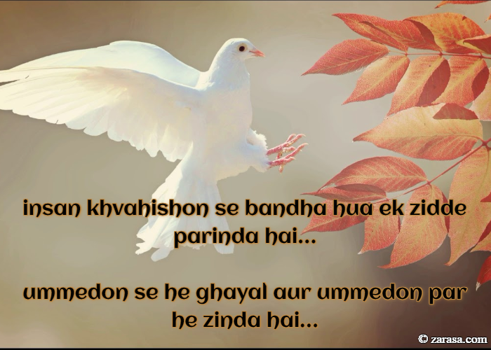 insan khvahishon se bandha