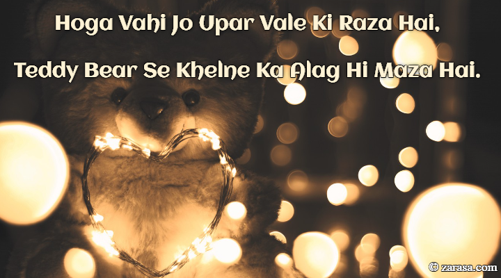 Shayari for Teddy Day “Teddy Bear Se Khelne Ka Alag Hi Maza Hai”