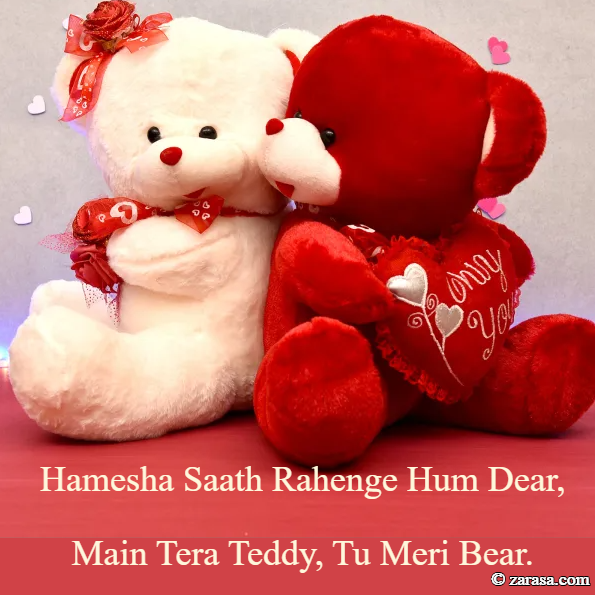 Shayari for Teddy Day “Main Tera Teddy”