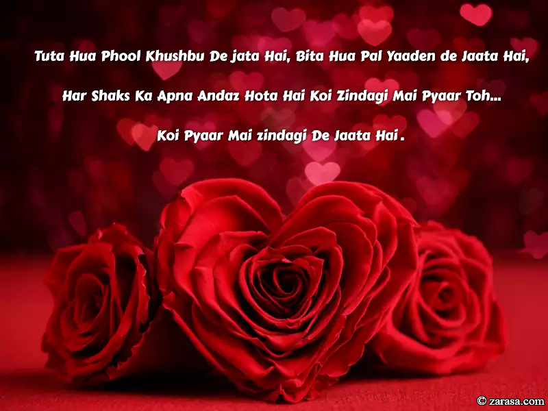 Shayari for Rose day “Tuta Hua Phool Khushbu De jata Hai”