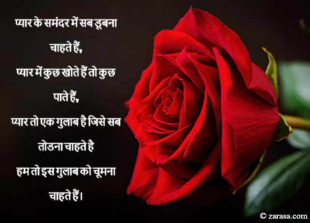 Shayari for Rose day “हम तो इस गुलाब को चूमना चाहते हैं। ‘