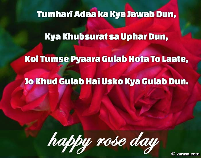 Shayari for Rose day “Koi Tumse Pyaara Gulab Hota To”